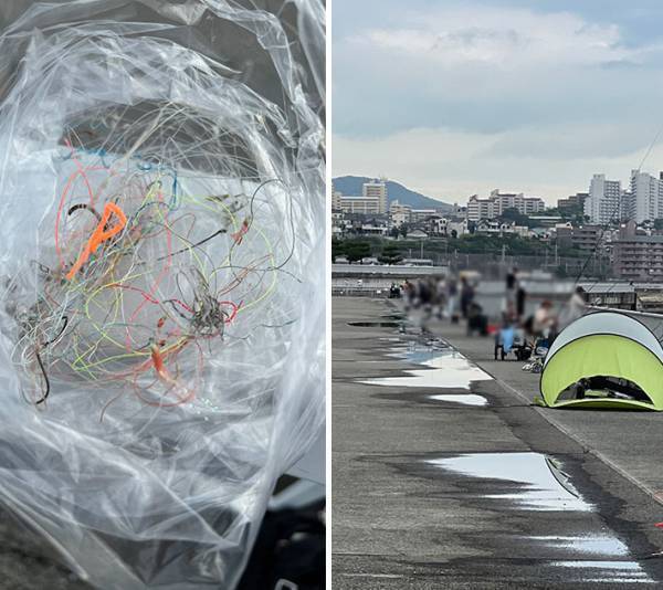 コレのポイ捨てはNG！　続出する被害に「かわいそう」「絶対ダメ」