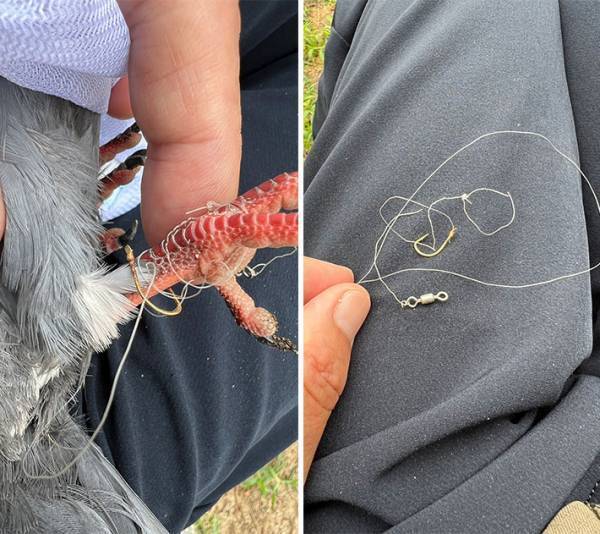 コレのポイ捨てはNG！　続出する被害に「かわいそう」「絶対ダメ」