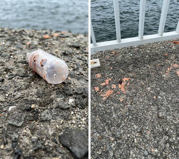 コレのポイ捨てはNG！　続出する被害に「かわいそう」「絶対ダメ」