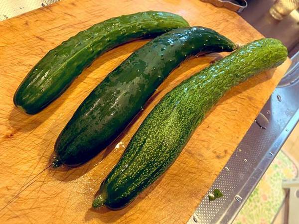 ３本のキュウリ、こう食べた！　ある家族のアイディアに「楽しい」「真似したい」