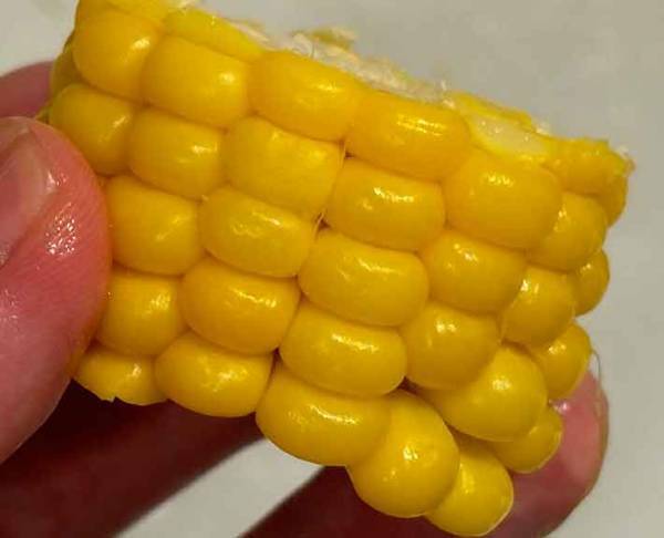 お湯から？水から？どっちがいいの？　ゆで方に「感激！」「意外と違いが出る」