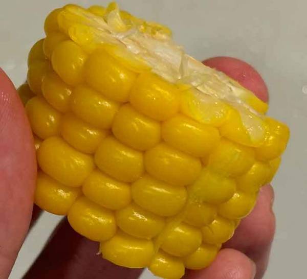 お湯から？水から？どっちがいいの？　ゆで方に「感激！」「意外と違いが出る」