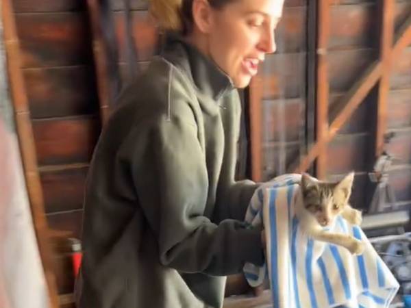 「庭に子猫が現れないかな」と願っていたら…１０日後？「おめでとう！」