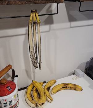 バナナが熟すの待っていた会社員に起こった悲劇　写真に「三度見した」