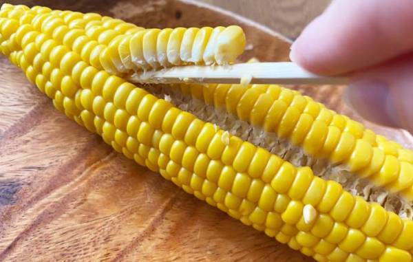 トウモロコシの実は、無料でもらえるアレで取るべし！　「面白いように外れた」