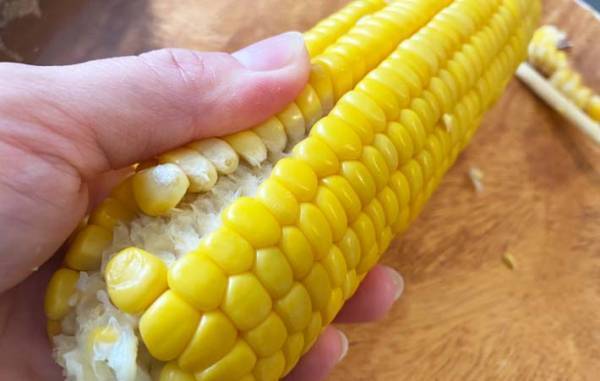 トウモロコシの実は、無料でもらえるアレで取るべし！　「面白いように外れた」