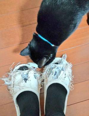 ボロボロのスリッパが？　こうなった理由に「吹いた」「匠の技かよ」