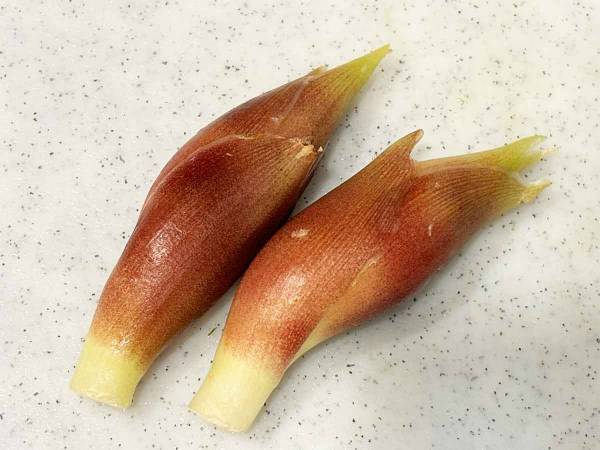 ミョウガを保存するには？　JAの提案に「知らなかった」