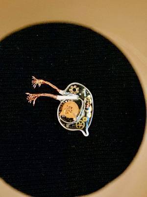 『ある生き物』のレジンアートに「かわいい！」「イヤリングにしたい」