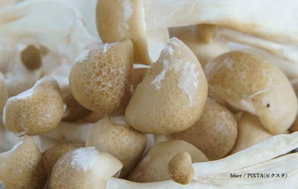 しめじに白いカビが発生？　捨てようと思ったら…「えー！？」「知らなかった」