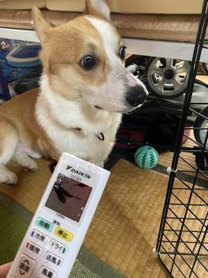 ボロボロになったリモコン　容疑者を見ると？　「電車で吹いた」