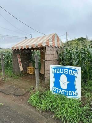 『ノーソン（農村）』の写真