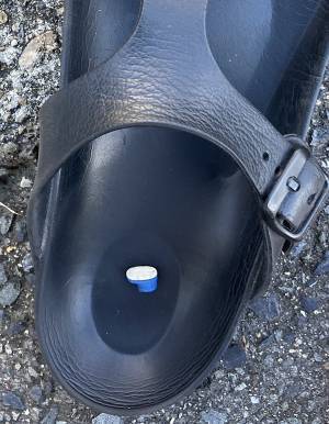 犬の散歩で靴に『違和感』　確認すると？「そんなことある！？」「二度見するわ」