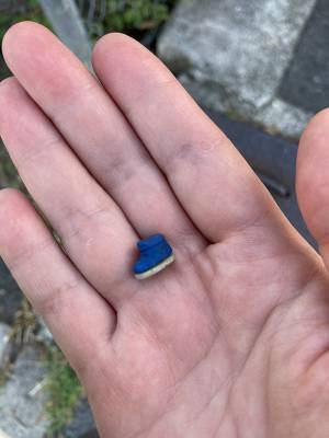 犬の散歩で靴に『違和感』　確認すると？「そんなことある！？」「二度見するわ」