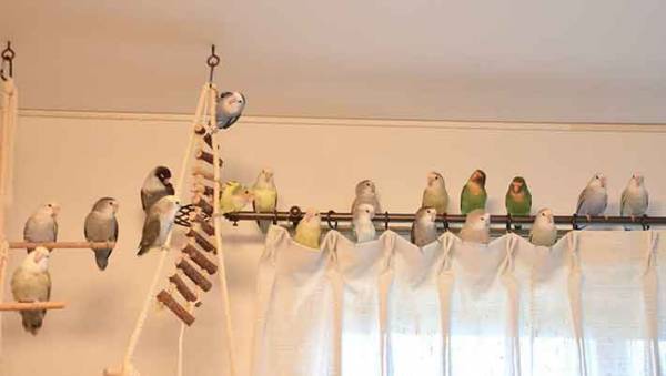 これから何が始まる？　その光景が「まるで音符」「歌い出しそう」