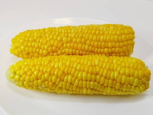 トウモロコシの皮が一瞬でむけた！　手軽な裏技に「気持ちいい」「こんなにつるんと」