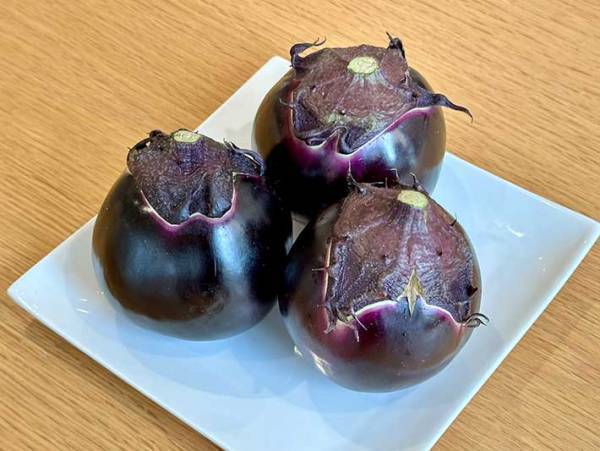 JA全農が教える『ナスのステーキ』に「チーズがとろーり」「絶対おいしい」