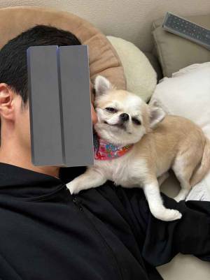 「付き合いたてのカップルかよ」　犬の表情に、３万超えの『いいね』