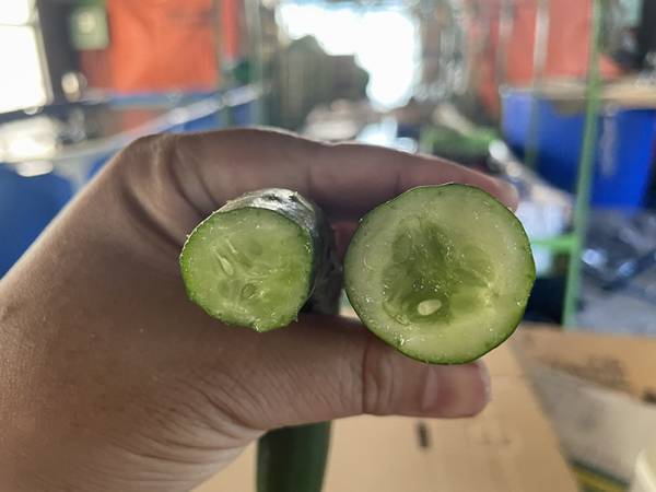 「廃棄野菜をタダでちょうだい」　農家の体験談に「酷すぎる」「絶句した」