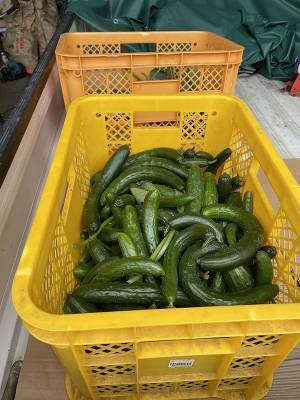 「廃棄野菜をタダでちょうだい」　農家の体験談に「酷すぎる」「絶句した」