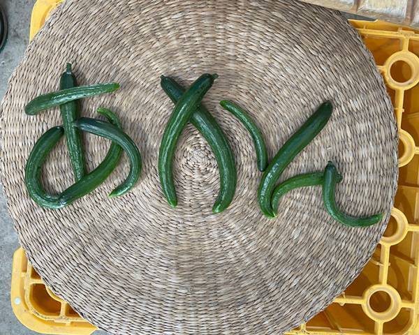 野菜でひらがなを作ったら…？　デザイン性の高さに「スタンプ作ってほしい」