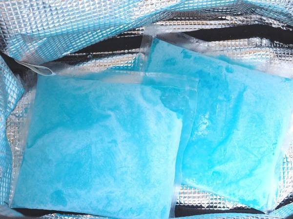 「保冷剤は使いません」　アレを代わりに使ったら『十分すぎた』