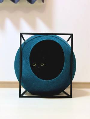 漆黒に同化する動物　その正体に「思わず叫んだ」「最高すぎる」