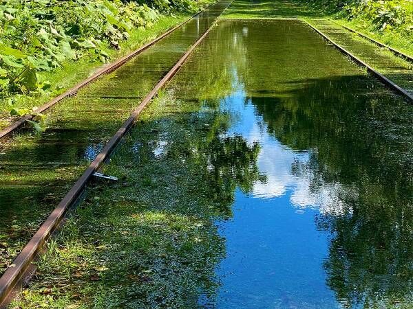 ４０年以上も列車が発着していない駅　現在の姿が「失われた文明」