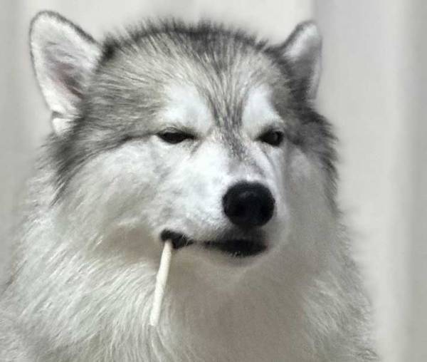 「酸いも甘いも知り尽くすイケオジ感」　渋いハスキーがガムをくわえると？