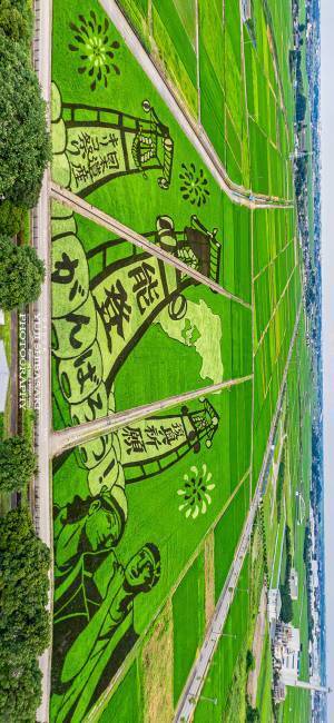 田んぼに大きく描かれているのは？　１枚の写真に「これは見に行きたい」「泣きそう」