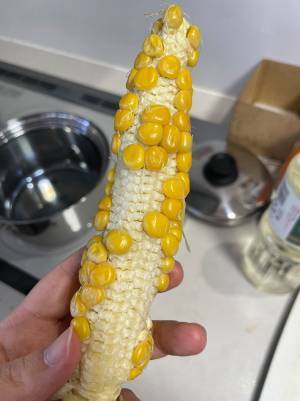 『家族が育てたトウモロコシ』に吹き出す！　葉を剥いて、出てきたのは…