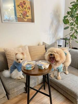 楽しいパーティの１枚なのに？　撮れた写真に「どうして」