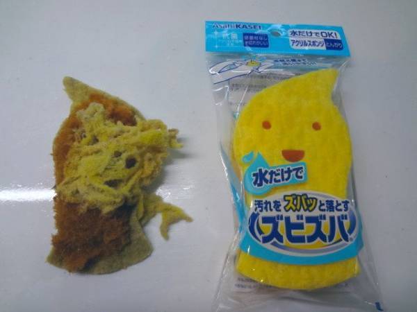 こんなにニコニコだったのに…　スポンジの『表情の変化』に注目！