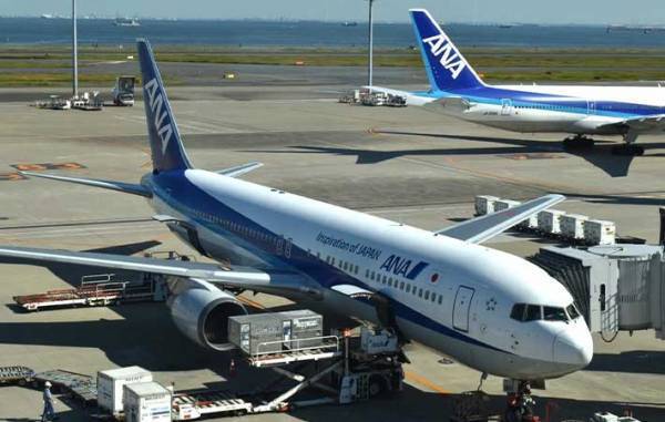 食品に付けた保冷剤、飛行機に持ち込める？　ANAの回答に「そうだったのか」