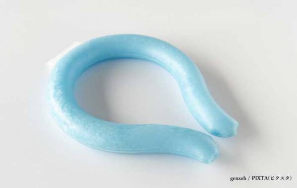 食品に付けた保冷剤、飛行機に持ち込める？　ANAの回答に「そうだったのか」