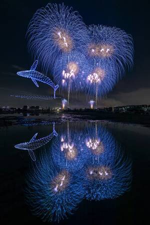 大輪の花と青いクジラが夜空に？　花火大会の１枚が「幻想的すぎる」と話題