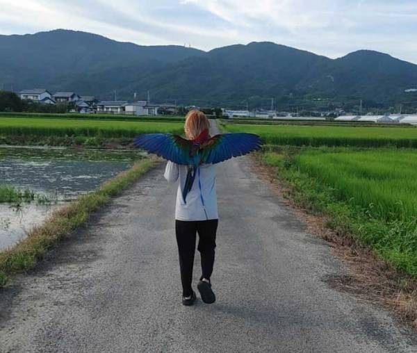 女性「私から羽が生えた」　散歩中の妻の背中、夫が撮影した理由が？