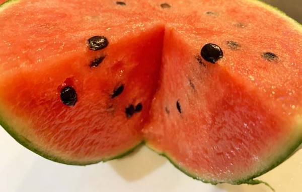 「４歳児が種を吐き出せない…」　母が試したスイカの切り方が？