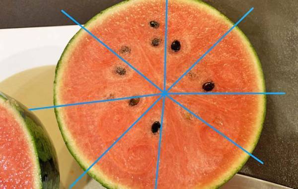 「４歳児が種を吐き出せない…」　母が試したスイカの切り方が？