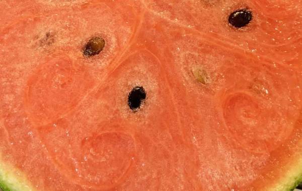 「４歳児が種を吐き出せない…」　母が試したスイカの切り方が？