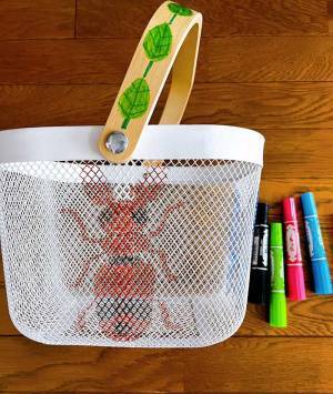 なんということでしょう…　不用品が小６の匠の手によって？　「センス抜群」