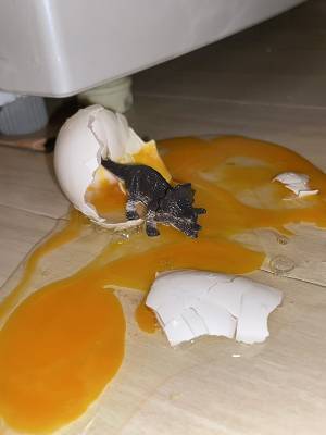 卵を割ってしまった女性　とっさの行動に「天才か？」「その発想はなかった」