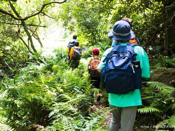 塩や虫よけは使わない？　ヤマビルをポロッと剥がす方法に「いいこと聞いた」