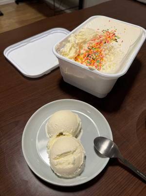 小皿に盛ったバニラアイス　奥を見ると？　「私、疲れてる」