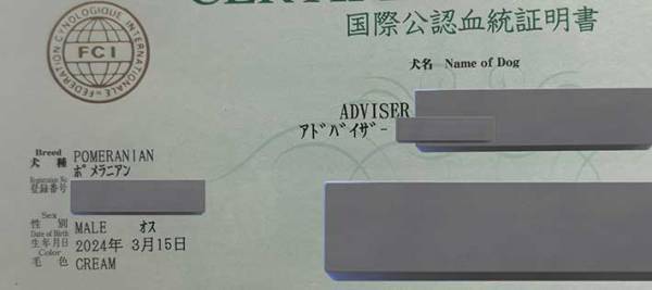 飼い主、２匹の血統書を見てビックリ　衝撃の事実に「めっちゃ笑った」