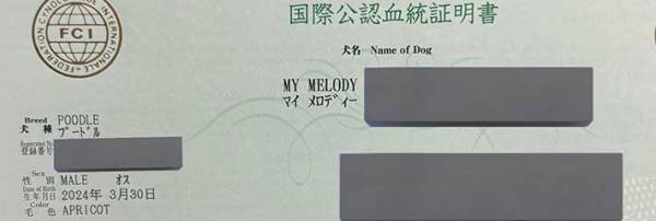 飼い主、２匹の血統書を見てビックリ　衝撃の事実に「めっちゃ笑った」