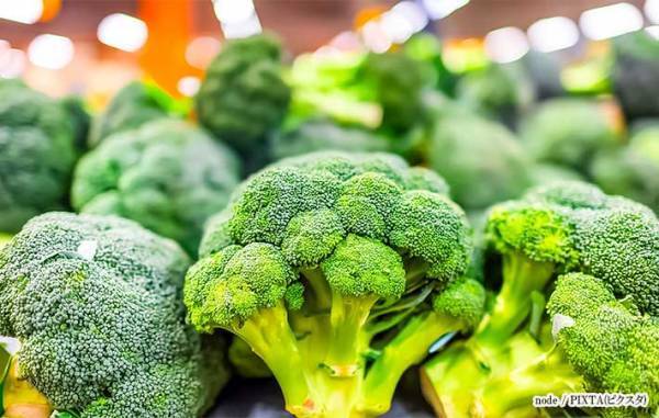 『ブロッコリーは畑の野菜』？　見かけた文面に「電車で吹いた」