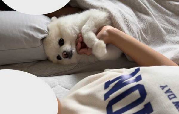 娘の横で寝転ぶ犬　カップルのような行動に「平和な世界」「推しを待ってる」