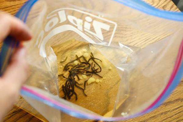 ジップロックを準備！　トウモロコシのおいしい食べ方に「その発想はなかった」