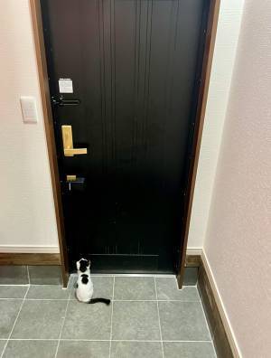 「早く帰ってきてあげて！」　娘が部活に出かけた後、玄関を見ると…？